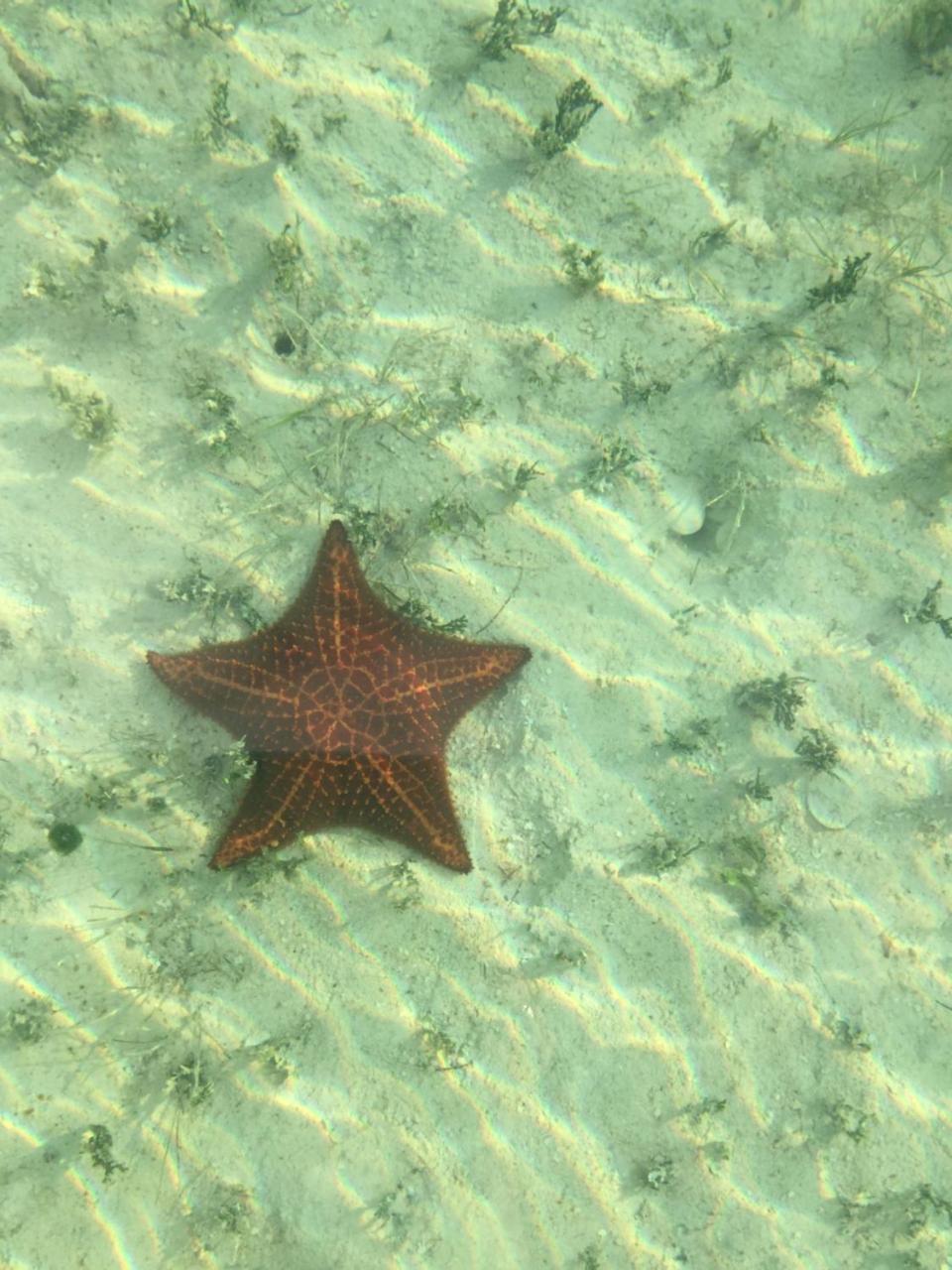 Ocean Tally Upper Bogue 외부 사진
